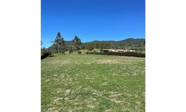 Se vende lote en reserva silvestre en La Ceja, sector Yarumo