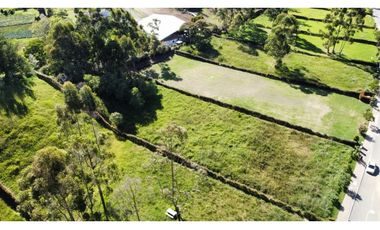 Se vende lote en reserva silvestre en La Ceja, sector Yarumo