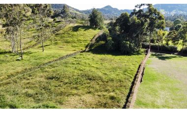 Se vende lote en reserva silvestre en La Ceja, sector Yarumo