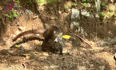 VILLA ECOTURISTICA, CON UNA VISTA ESPÉCTACULAR