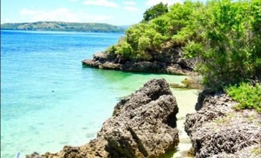 Beach Cliff Lot 1.8 Hectares in Moalboal Cebu