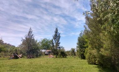 Venta