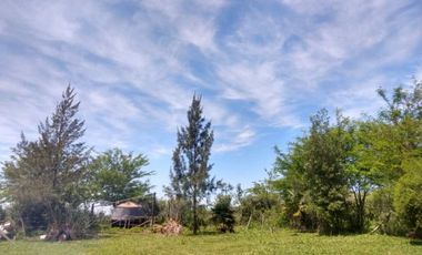 Venta
