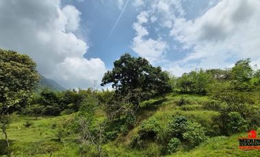 finca en venta en urbano. Cod V6574