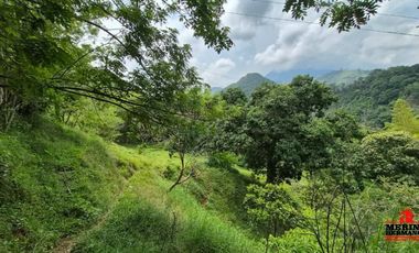 finca en venta en urbano. Cod V6574