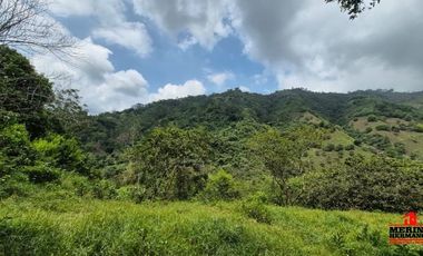 finca en venta en urbano. Cod V6574