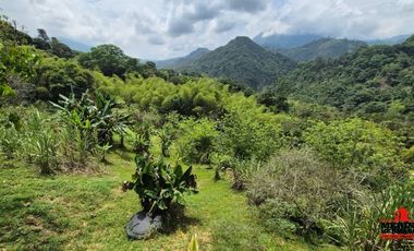 finca en venta en urbano. Cod V6574