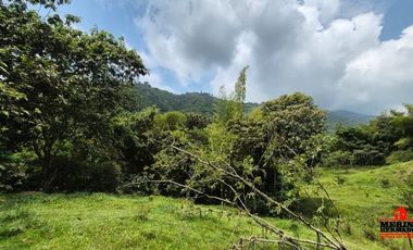 finca en venta en urbano. Cod V6574