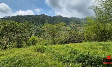 finca en venta en urbano. Cod V6574