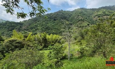 finca en venta en urbano. Cod V6574