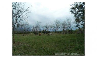 Finca Producción en venta en callejon de guali 1935308