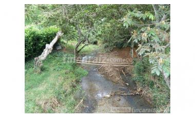 Finca Producción en venta en callejon de guali 1935308