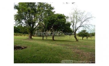 Finca Producción en venta en callejon de guali 1935308