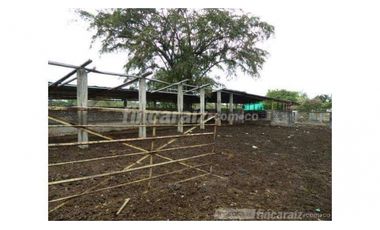 Finca Producción en venta en callejon de guali 1935308