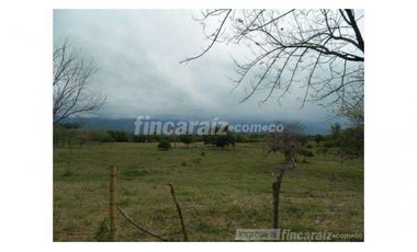 Finca Producción en venta en callejon de guali 1935308