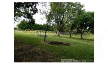 Finca Producción en venta en callejon de guali 1935308