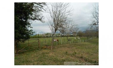 Finca Producción en venta en callejon de guali 1935308