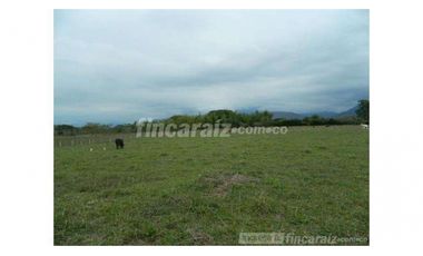 Finca Producción en venta en callejon de guali 1935308
