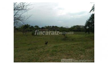 Finca Producción en venta en callejon de guali 1935308