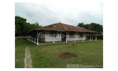 Finca Producción en venta en callejon de guali 1935308