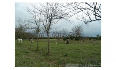 Finca Producción en venta en callejon de guali 1935308