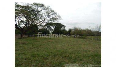 Finca Producción en venta en callejon de guali 1935308