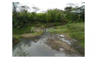 Finca Producción en venta en callejon de guali 1935308