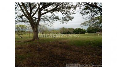 Finca Producción en venta en callejon de guali 1935308