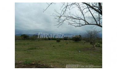 Finca Producción en venta en callejon de guali 1935308