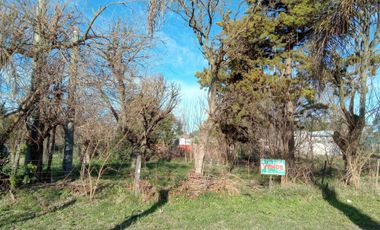 Terreno en venta en Vicente López, Vicente López