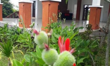 Dijual Cepat 12 Villa Lovina Eco Lodge Buleleng Singaraja Bali Dengan Swimmingpool Murah Sangat Menguntungkan