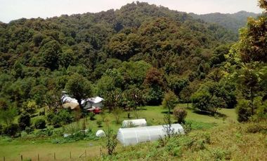 RANCHO LAS GARDENIAS EN VENTA