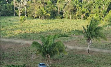 VENDO FINCA EN METETI SON 1300 HECTAREAS