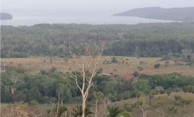 VENDO FINCA EN METETI SON 1300 HECTAREAS
