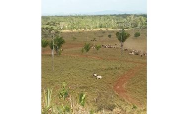 VENDO FINCA EN METETI SON 1300 HECTAREAS