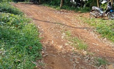Jual murah tanah kebun bekas sawah Pedesaan Kertasari Bojong Purwakarta Jawa Barat