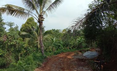 Jual murah tanah kebun bekas sawah Pedesaan Kertasari Bojong Purwakarta Jawa Barat