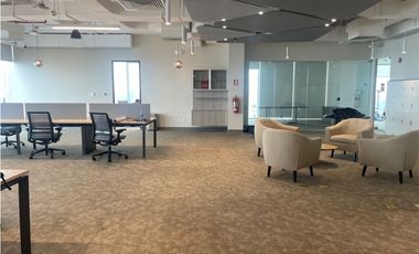 Venta de oficina Amoblada en Punta Pacífica, Ph Oceanía Torre 1000
