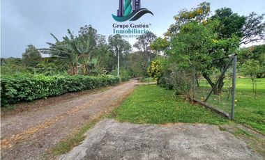 VENDO CASA EN LOTE DE 1100M2 PALMIRA ARRIBA