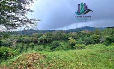 VENDO CASA EN LOTE DE 1100M2 PALMIRA ARRIBA