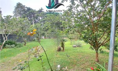 VENDO CASA EN LOTE DE 1100M2 PALMIRA ARRIBA