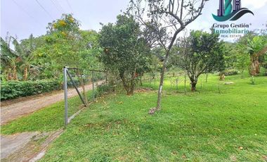 VENDO CASA EN LOTE DE 1100M2 PALMIRA ARRIBA