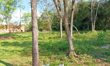 VENDO CHACRA CAMPO EN PROFUNDIDAD CANDELARIA 10 HECTAREAS SOBRE ASFALTO A 20 MINUTOS DE POSADAS