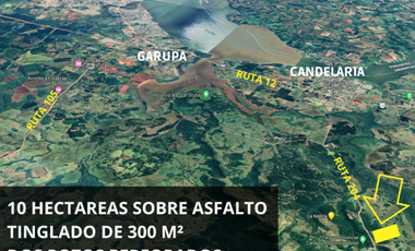 VENDO CHACRA CAMPO EN PROFUNDIDAD CANDELARIA 10 HECTAREAS SOBRE ASFALTO A 20 MINUTOS DE POSADAS