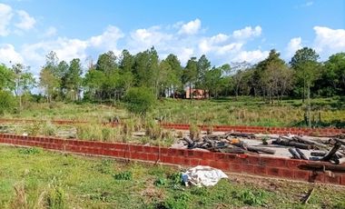 VENDO CHACRA CAMPO EN PROFUNDIDAD CANDELARIA 10 HECTAREAS SOBRE ASFALTO A 20 MINUTOS DE POSADAS