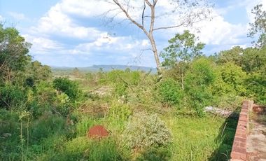 VENDO CHACRA CAMPO EN PROFUNDIDAD CANDELARIA 10 HECTAREAS SOBRE ASFALTO A 20 MINUTOS DE POSADAS