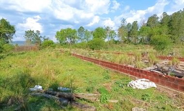 VENDO CHACRA CAMPO EN PROFUNDIDAD CANDELARIA 10 HECTAREAS SOBRE ASFALTO A 20 MINUTOS DE POSADAS