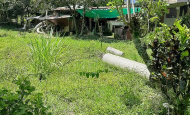 Te vendo esta casa finca de dos plantas bien barata abajito de Porce en Santo Domingo Antioquia.