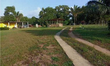 VENDO FINCA EN LA CHORRERA CERRO CAMA LAS PAVAS 3 HECTREAS CON 100MTS