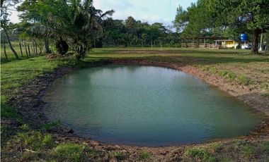 VENDO FINCA EN LA CHORRERA CERRO CAMA LAS PAVAS 3 HECTREAS CON 100MTS